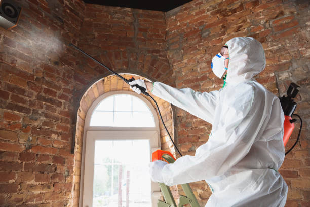 Asbestos and Lead Testing During Mold Inspection in Buttonwillow, CA