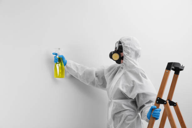 Mold Removal for HVAC Installations in Buttonwillow, CA